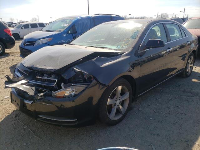 Photo 1 VIN: 1G1ZC5E08CF302585 - CHEVROLET MALIBU 1LT 