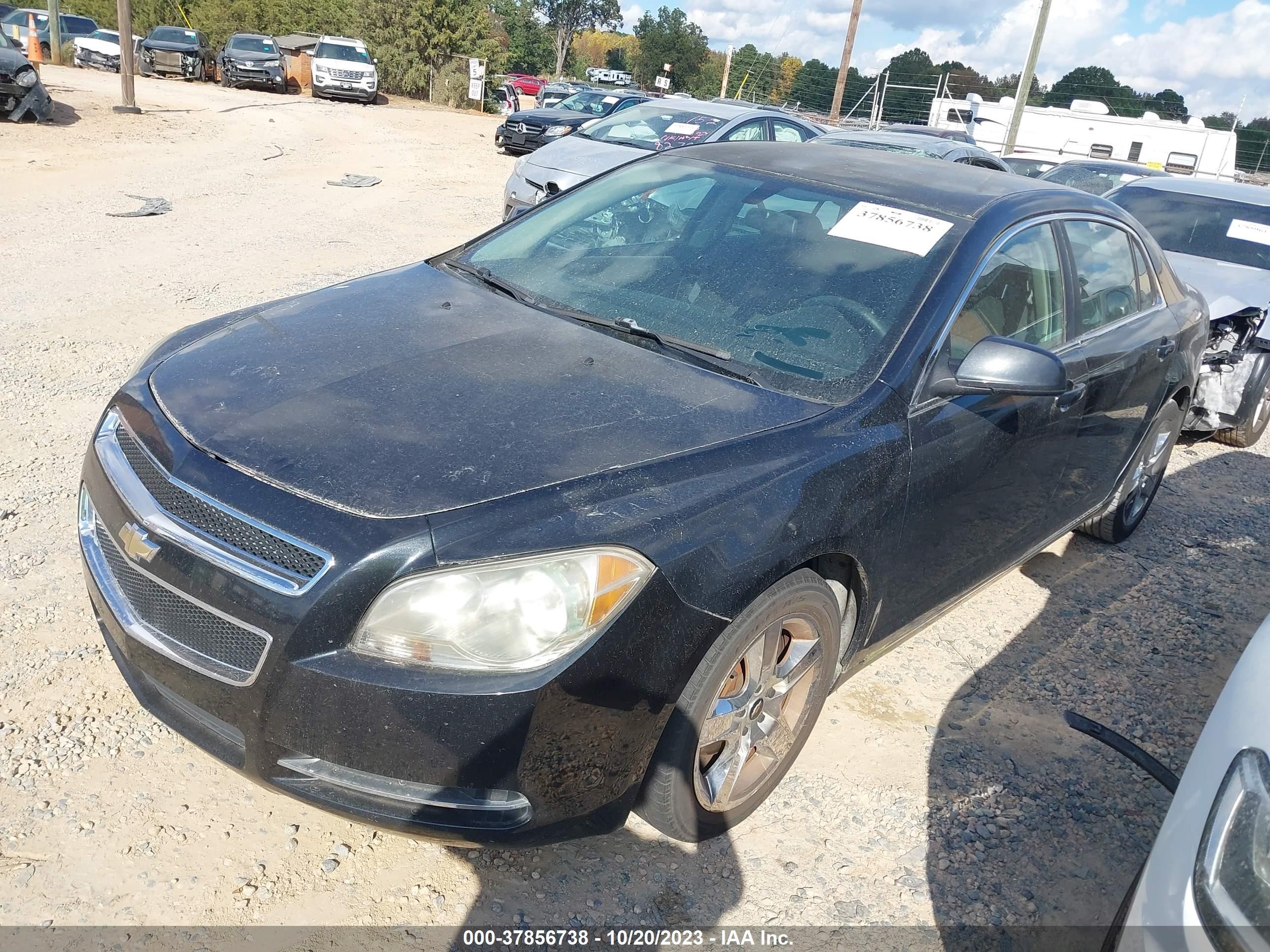 Photo 1 VIN: 1G1ZC5E0XAF173956 - CHEVROLET MALIBU 