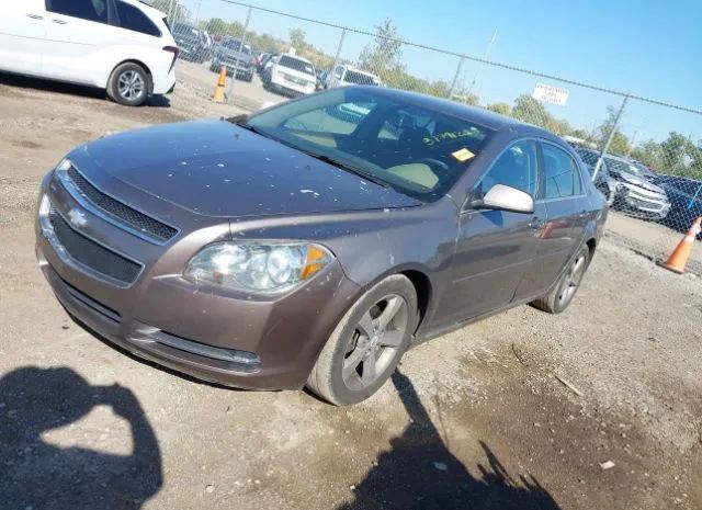 Photo 1 VIN: 1G1ZC5E10BF111217 - CHEVROLET MALIBU 