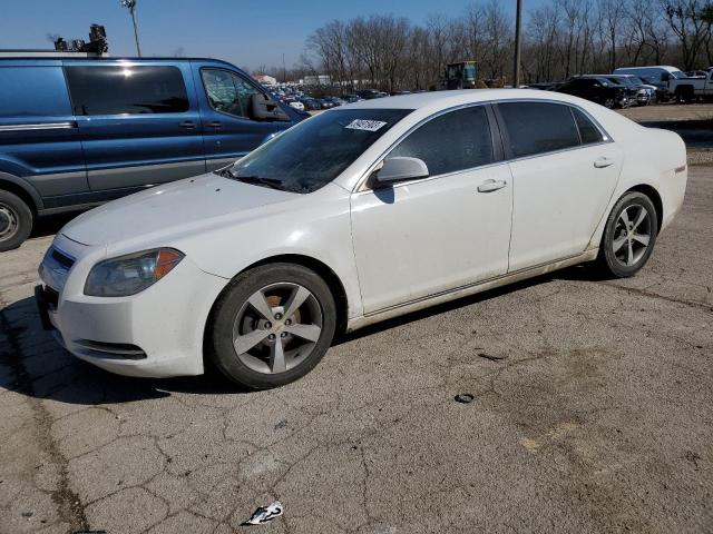 Photo 0 VIN: 1G1ZC5E10BF159929 - CHEVROLET MALIBU 1LT 