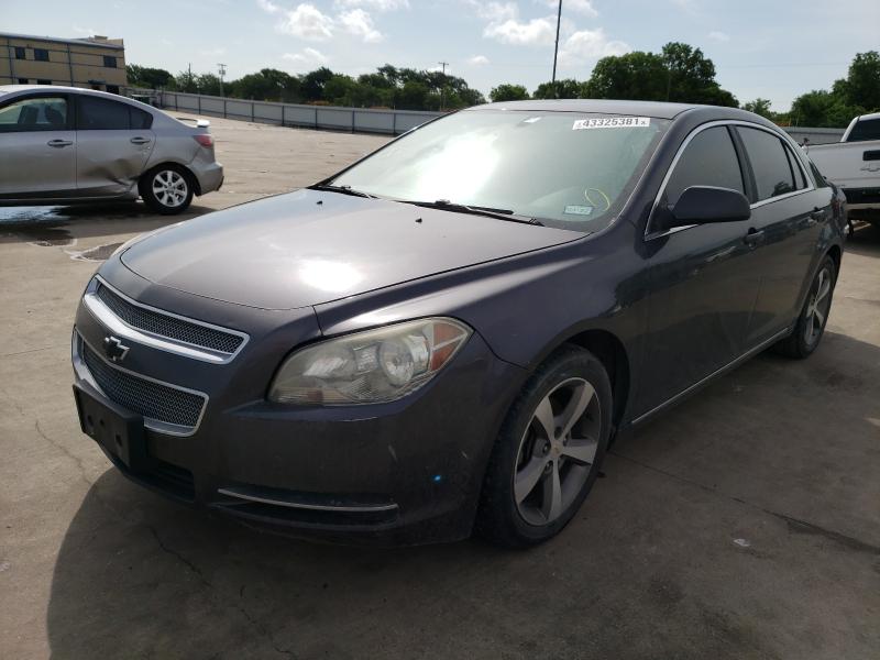 Photo 1 VIN: 1G1ZC5E10BF234533 - CHEVROLET MALIBU 1LT 