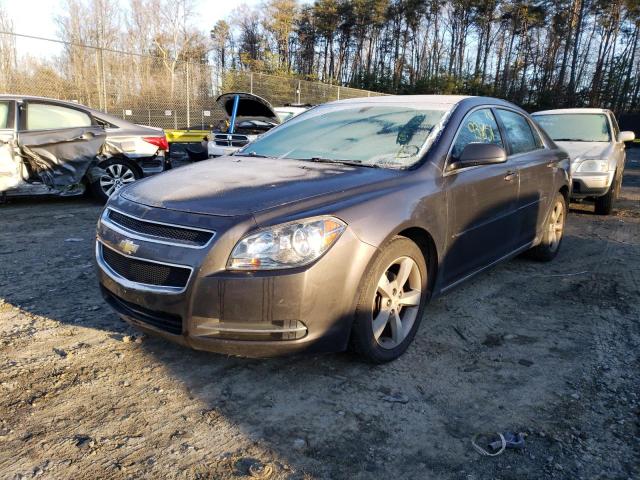 Photo 1 VIN: 1G1ZC5E10BF288396 - CHEVROLET MALIBU 1LT 