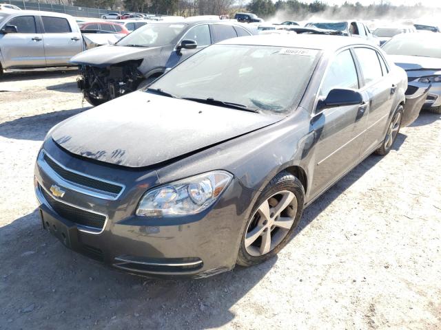 Photo 1 VIN: 1G1ZC5E10BF294585 - CHEVROLET MALIBU 