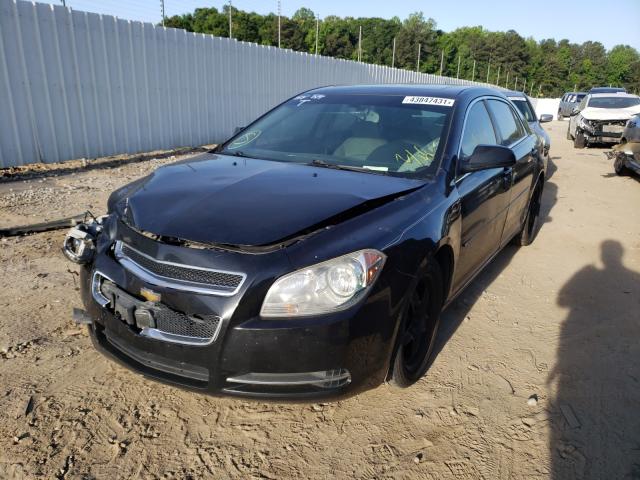 Photo 1 VIN: 1G1ZC5E10BF305973 - CHEVROLET MALIBU 1LT 