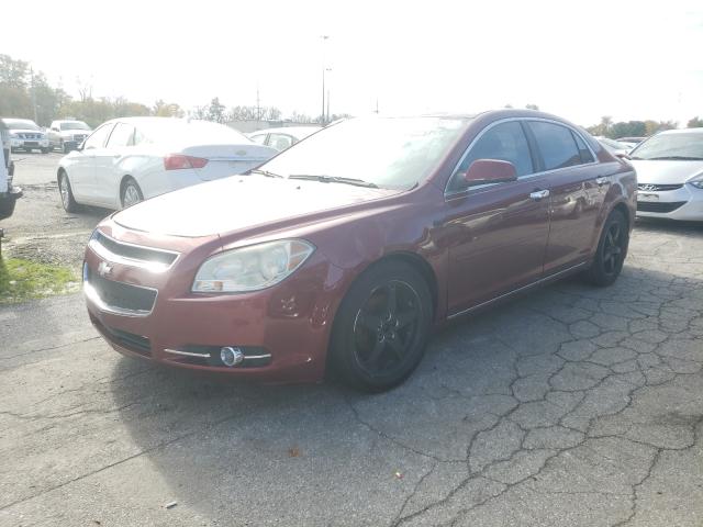 Photo 1 VIN: 1G1ZC5E10BF323065 - CHEVROLET MALIBU LT 