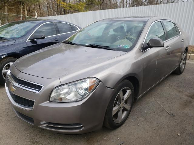 Photo 1 VIN: 1G1ZC5E11BF212959 - CHEVROLET MALIBU 1LT 