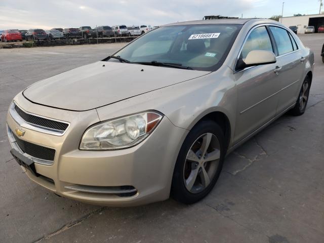 Photo 1 VIN: 1G1ZC5E11BF250756 - CHEVROLET MALIBU 1LT 