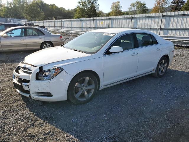 Photo 0 VIN: 1G1ZC5E11BF330154 - CHEVROLET MALIBU 