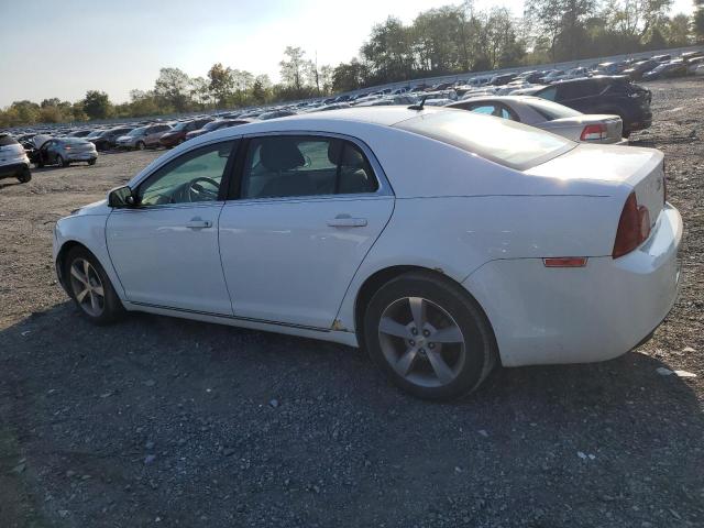 Photo 1 VIN: 1G1ZC5E11BF330154 - CHEVROLET MALIBU 