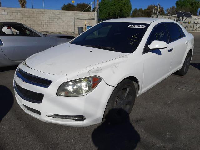 Photo 1 VIN: 1G1ZC5E12BF144977 - CHEVROLET MALIBU 1LT 