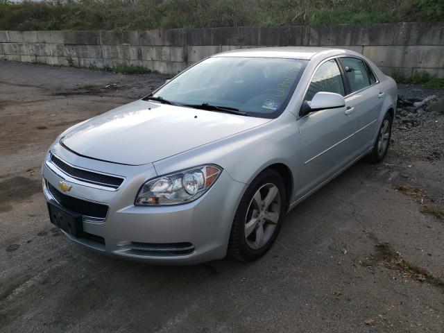 Photo 1 VIN: 1G1ZC5E12BF191118 - CHEVROLET MALIBU 1LT 