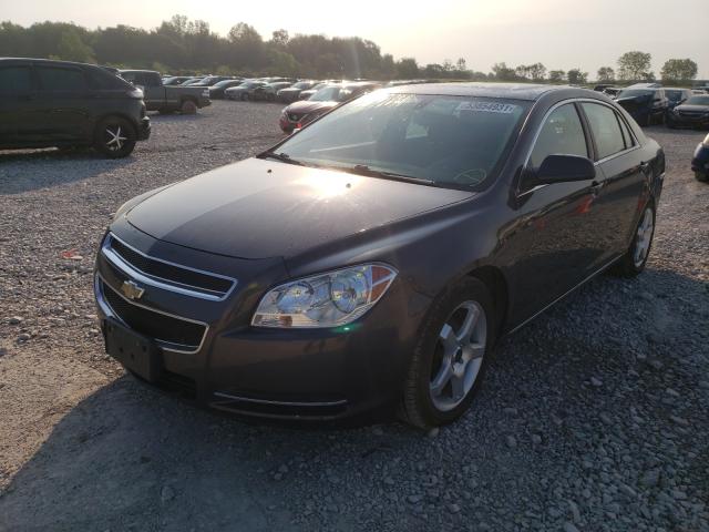 Photo 1 VIN: 1G1ZC5E13BF116492 - CHEVROLET MALIBU 1LT 