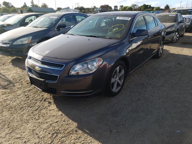 Photo 1 VIN: 1G1ZC5E13BF132854 - CHEVROLET MALIBU 1LT 