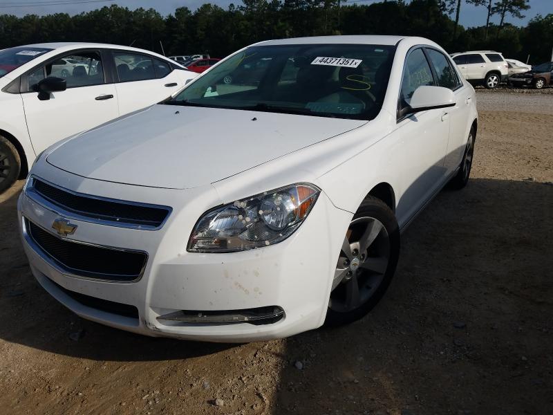 Photo 1 VIN: 1G1ZC5E13BF193041 - CHEVROLET MALIBU 1LT 