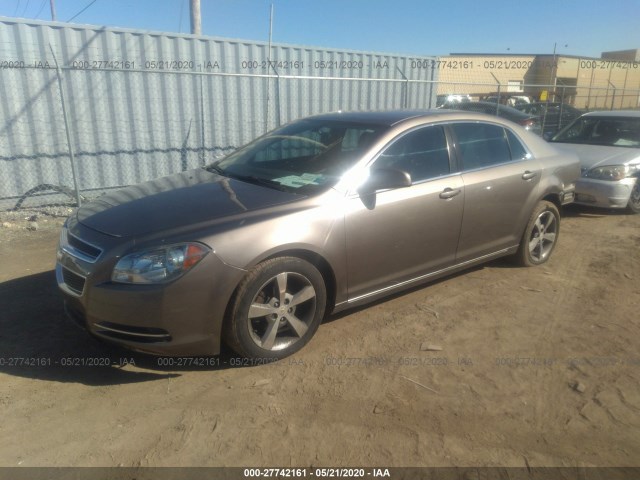 Photo 1 VIN: 1G1ZC5E13BF255991 - CHEVROLET MALIBU 