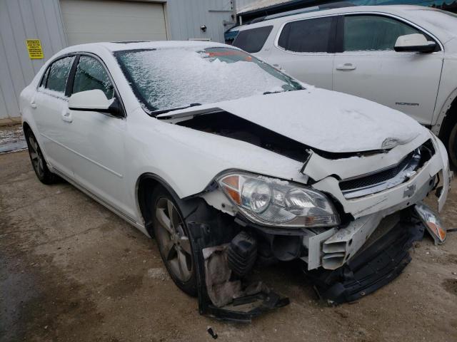 Photo 3 VIN: 1G1ZC5E13BF293639 - CHEVROLET MALIBU 1LT 