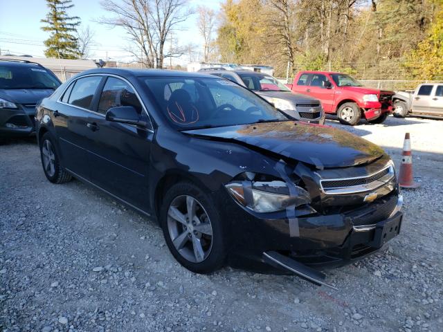 Photo 0 VIN: 1G1ZC5E13BF304123 - CHEVROLET MALIBU 1LT 