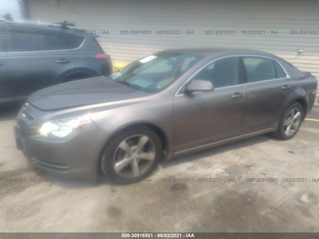 Photo 1 VIN: 1G1ZC5E13BF316398 - CHEVROLET MALIBU 