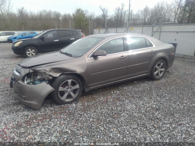 Photo 1 VIN: 1G1ZC5E13BF355380 - CHEVROLET MALIBU 