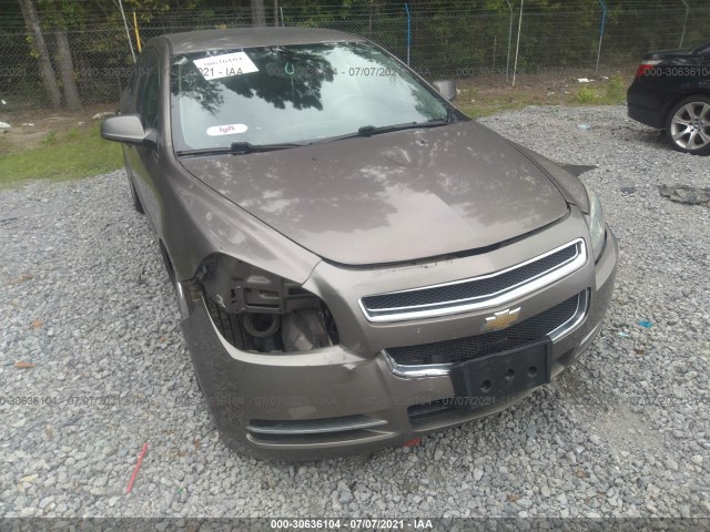 Photo 5 VIN: 1G1ZC5E13BF358442 - CHEVROLET MALIBU 