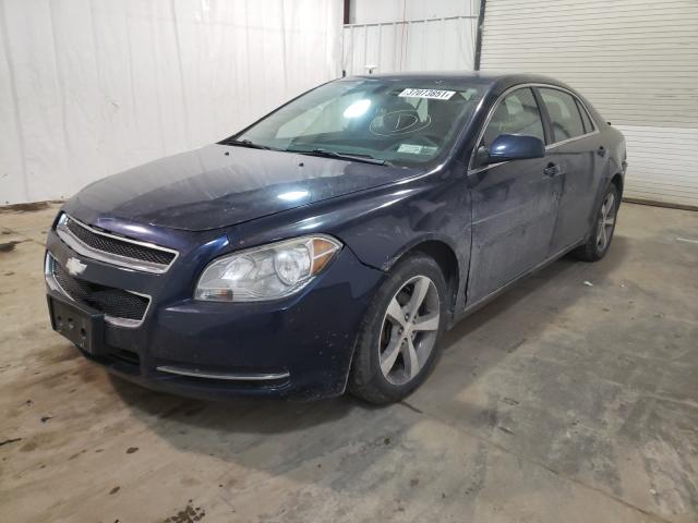 Photo 1 VIN: 1G1ZC5E13BF373989 - CHEVROLET MALIBU 1LT 