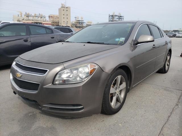 Photo 1 VIN: 1G1ZC5E14BF168813 - CHEVROLET MALIBU 1LT 