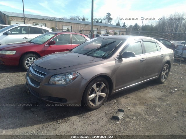 Photo 1 VIN: 1G1ZC5E14BF171338 - CHEVROLET MALIBU 