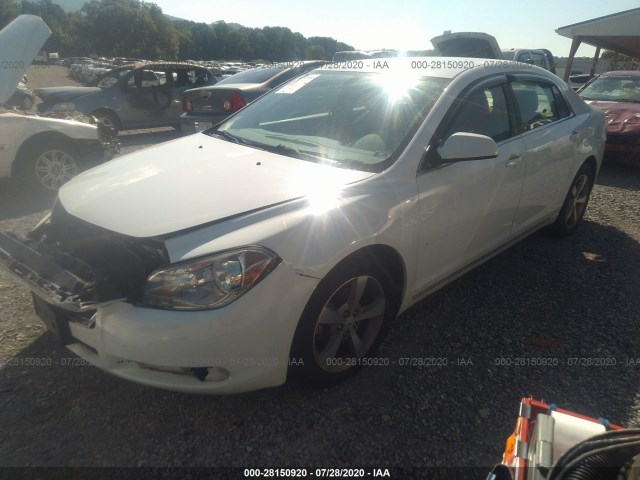 Photo 1 VIN: 1G1ZC5E14BF185644 - CHEVROLET MALIBU 