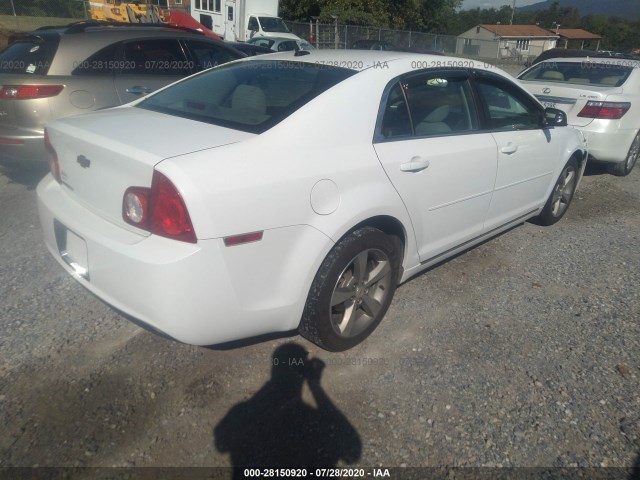 Photo 3 VIN: 1G1ZC5E14BF185644 - CHEVROLET MALIBU 