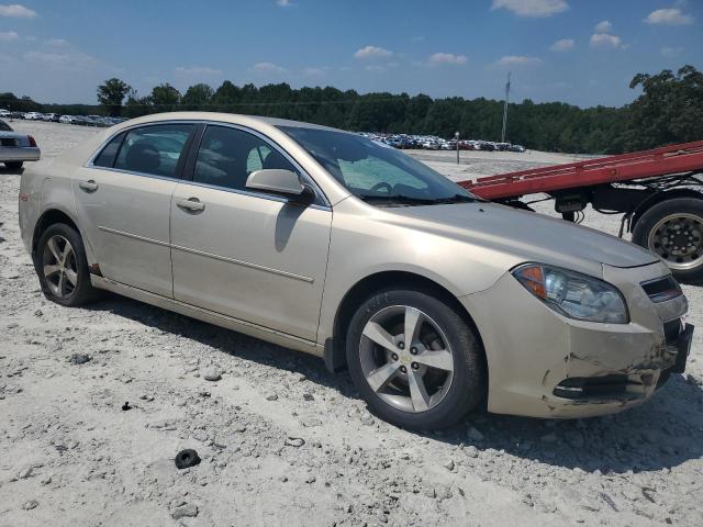 Photo 3 VIN: 1G1ZC5E15BF105588 - CHEVROLET MALIBU 1LT 