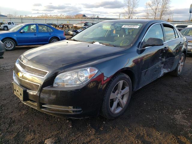 Photo 1 VIN: 1G1ZC5E15BF172496 - CHEVROLET MALIBU 1LT 