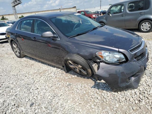 Photo 3 VIN: 1G1ZC5E15BF172739 - CHEVROLET MALIBU 1LT 