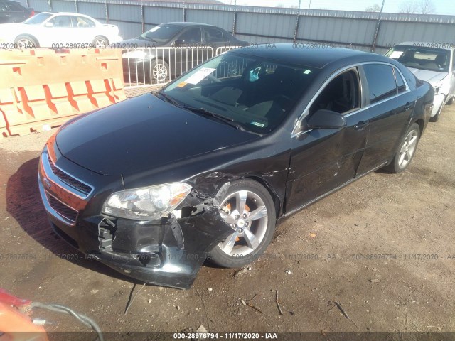 Photo 1 VIN: 1G1ZC5E15BF174152 - CHEVROLET MALIBU 