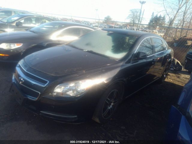 Photo 1 VIN: 1G1ZC5E15BF262439 - CHEVROLET MALIBU 