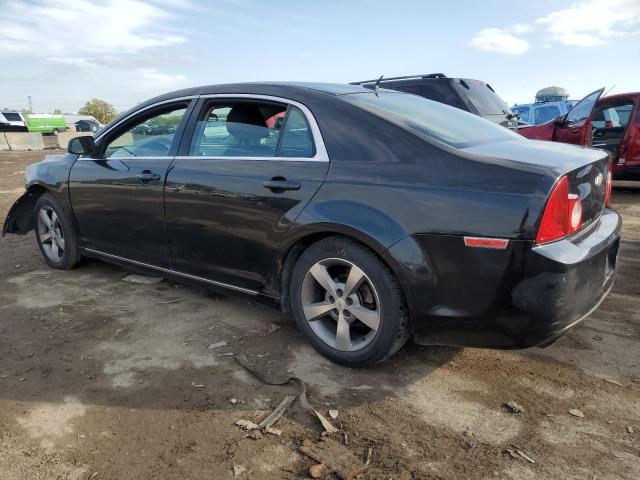 Photo 1 VIN: 1G1ZC5E15BF296073 - CHEVROLET MALIBU 