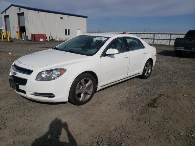 Photo 1 VIN: 1G1ZC5E15BF322056 - CHEVROLET MALIBU 1LT 