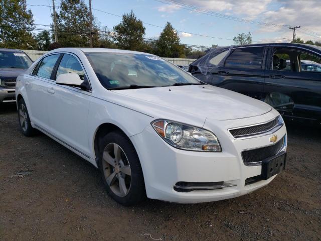 Photo 3 VIN: 1G1ZC5E15BF367529 - CHEVROLET MALIBU 