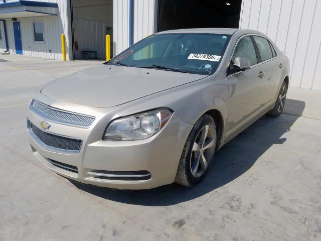 Photo 1 VIN: 1G1ZC5E16BF185595 - CHEVROLET MALIBU 1LT 