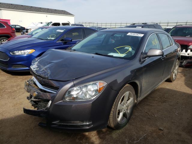 Photo 1 VIN: 1G1ZC5E16BF205196 - CHEVROLET MALIBU 1LT 