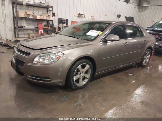 Photo 1 VIN: 1G1ZC5E16BF262966 - CHEVROLET MALIBU 