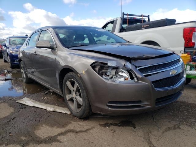 Photo 0 VIN: 1G1ZC5E16BF284157 - CHEVROLET MALIBU 1LT 