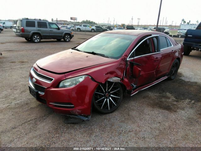 Photo 1 VIN: 1G1ZC5E16BF295675 - CHEVROLET MALIBU 