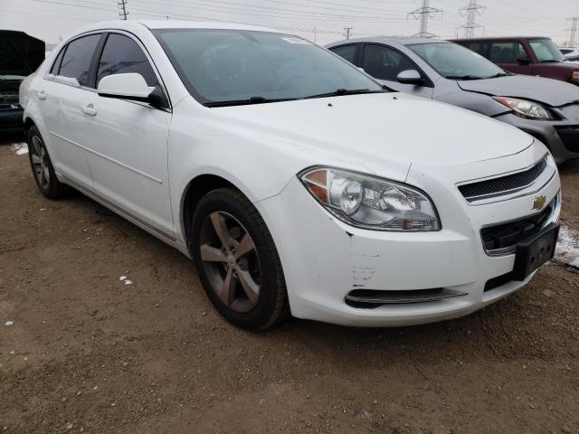 Photo 3 VIN: 1G1ZC5E16BF296809 - CHEVROLET MALIBU 1LT 