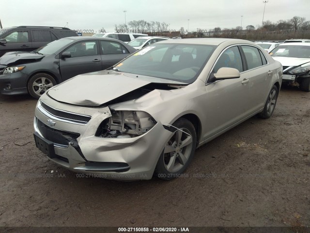 Photo 1 VIN: 1G1ZC5E16BF301622 - CHEVROLET MALIBU 