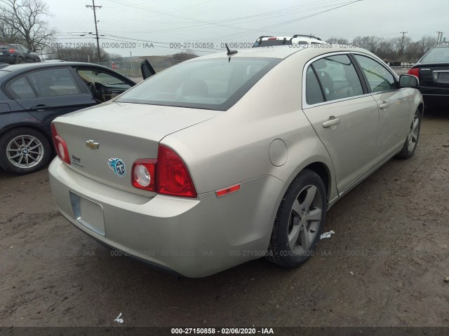 Photo 3 VIN: 1G1ZC5E16BF301622 - CHEVROLET MALIBU 