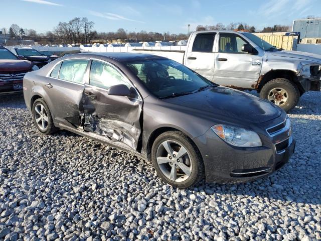 Photo 3 VIN: 1G1ZC5E16BF328058 - CHEVROLET MALIBU 