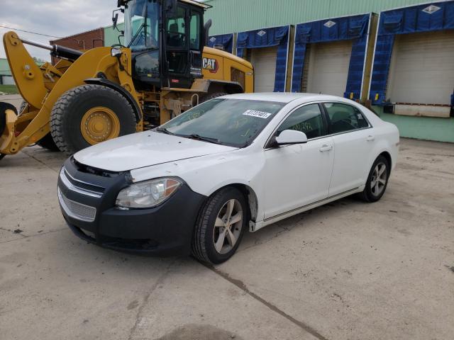 Photo 1 VIN: 1G1ZC5E16BF374411 - CHEVROLET MALIBU 1LT 