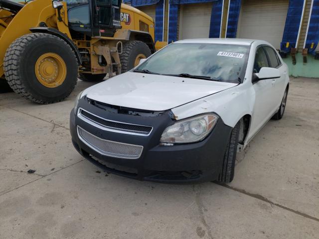 Photo 8 VIN: 1G1ZC5E16BF374411 - CHEVROLET MALIBU 1LT 