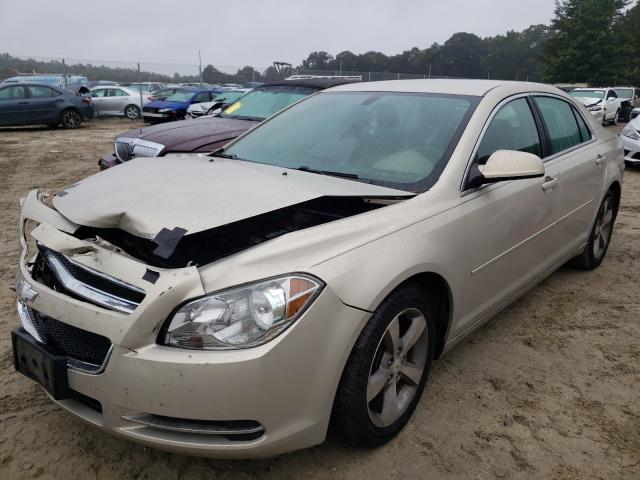 Photo 1 VIN: 1G1ZC5E16BF397137 - CHEVROLET MALIBU 1LT 