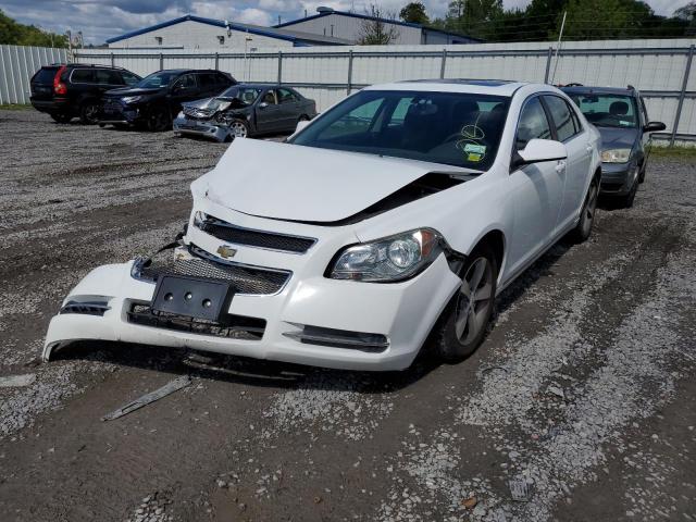 Photo 1 VIN: 1G1ZC5E17BF100991 - CHEVROLET MALIBU 1LT 